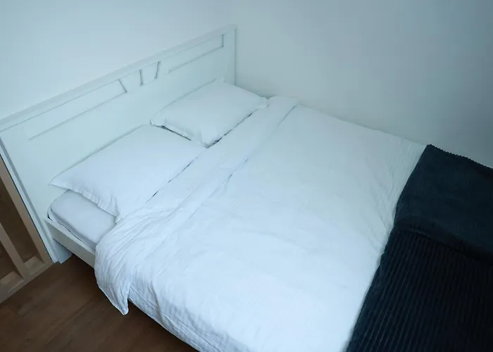 Apartman Borovi 15 Divcibare